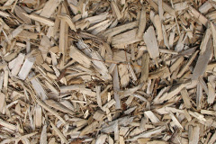 biomass boilers Torphin
